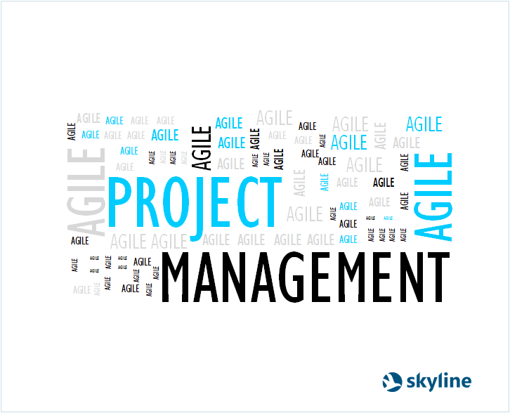 Agile Project manager - The new way