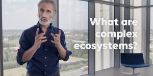 What are complex ecosystems